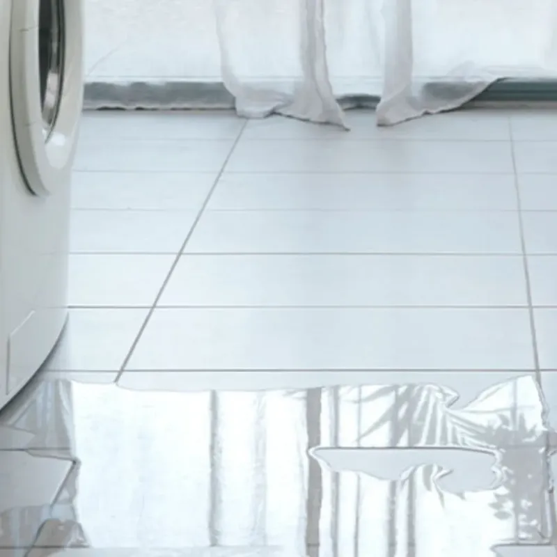 Appliance Leak Cleanup in Bluff City, TN