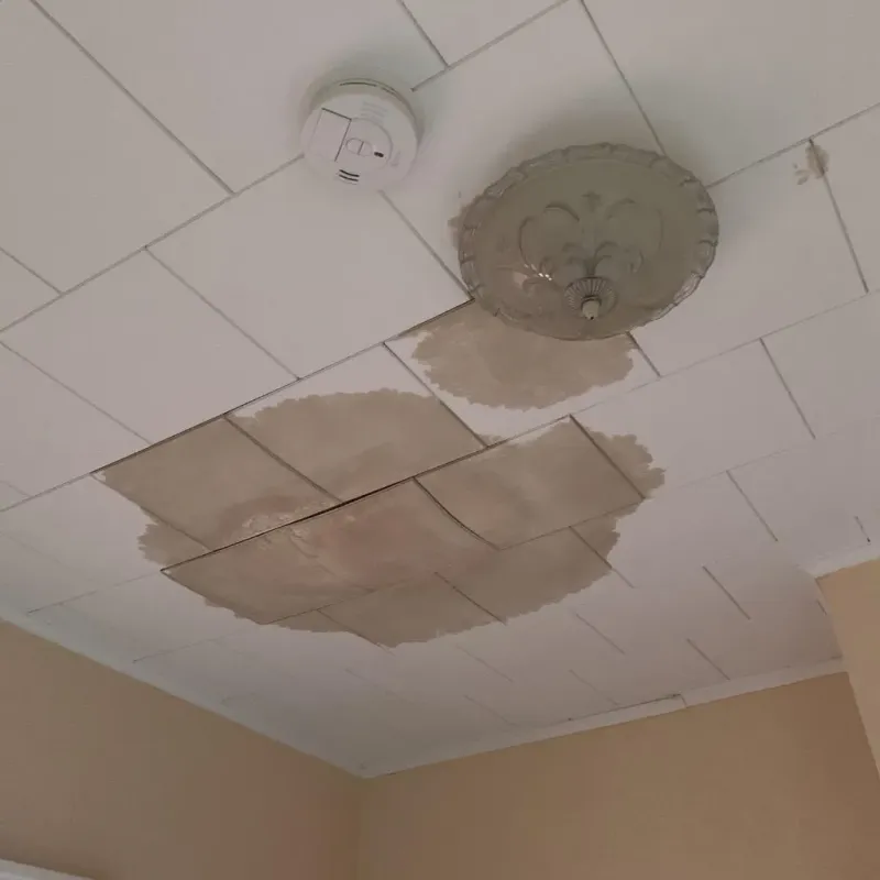 Ceiling Water Damage Repair in Bluff City, TN