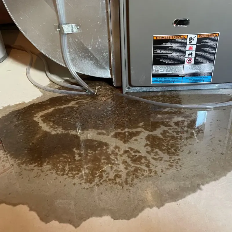 Pipe Burst and Leak Restoration in Bluff City, TN