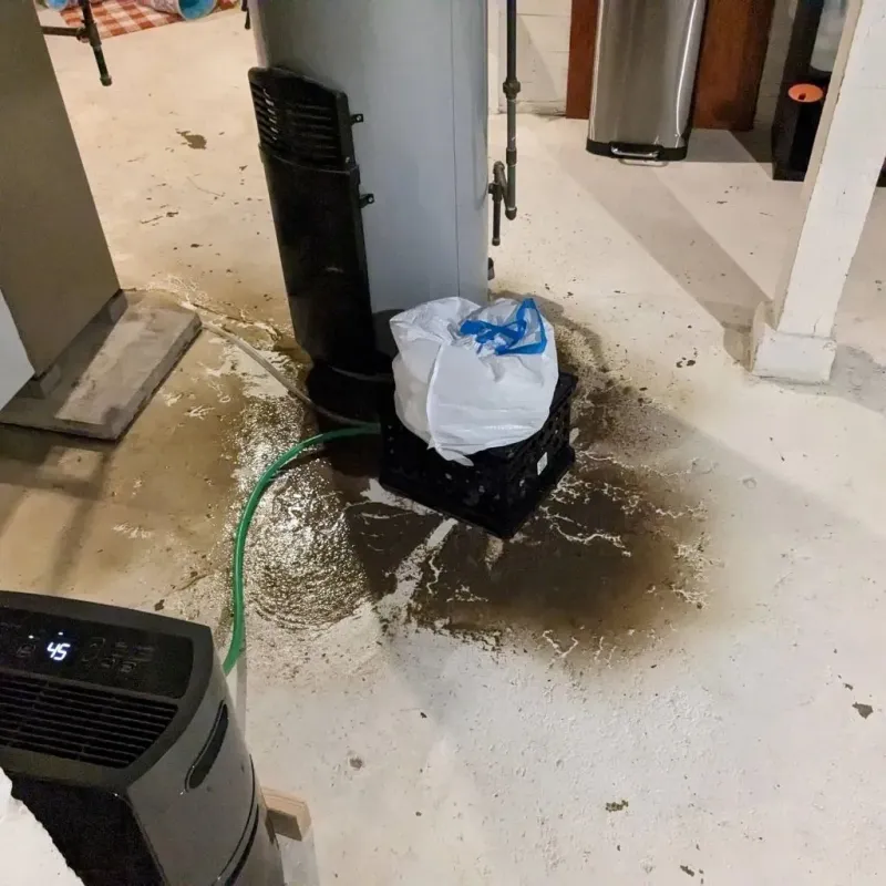 Sewage Backup Cleanup Service in Bluff City, TN